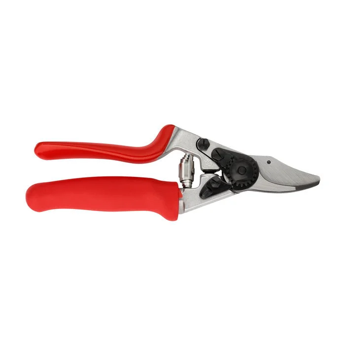 bigfrogsupply1623607