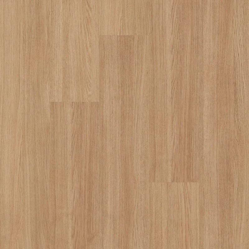 flooranddecor-1847181