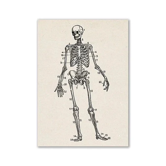 gobekusa81617580