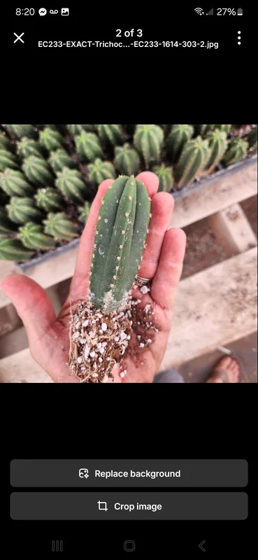 gobekusa91825371