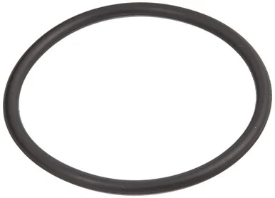 nyrpcorp1-1714495
