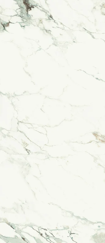 surfacegroup21540709