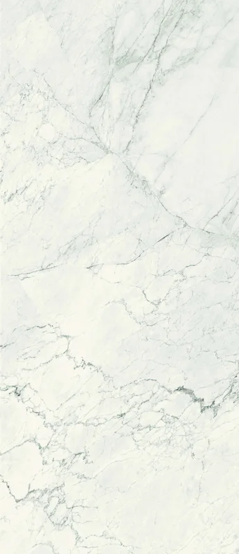 surfacegroup21540762